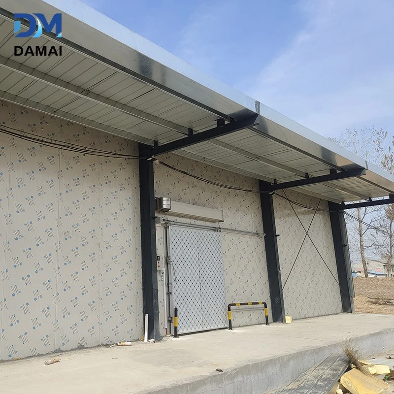 product-800-800