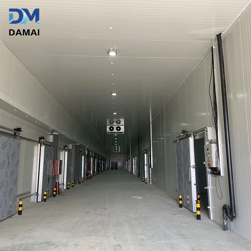 product-800-800