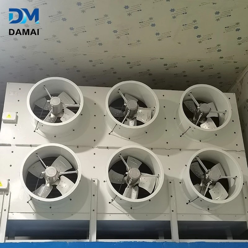 product-800-800